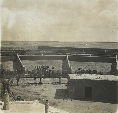 Egypte ferme autruches - ferme, c1900