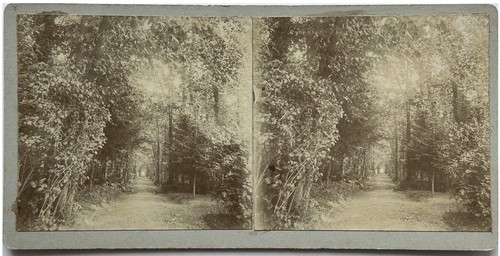 France lunéville - france,